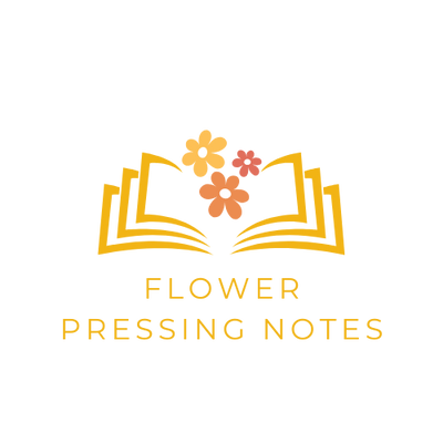 Watercolor Notes For Kids 